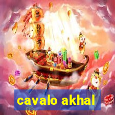 cavalo akhal-teke a venda no brasil cavalo akhal teke no